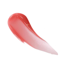 Dior Addict Lip Maximizer - 039 Intense Cinnamon