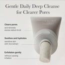 Arencia Rice + LHA Pore Control Rice Cake Cleanser 150g
