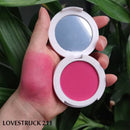 Ibeauty Blush Powder 4.5g