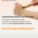 VT COSMETICS Vita-light Reedle Shot 100 Stick Pouch 10 piece