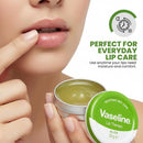Vaseline Lip Therapy Tin Aloe Vera 20g