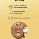 COSRX lip sleep propolis lip sleeping mask 20g