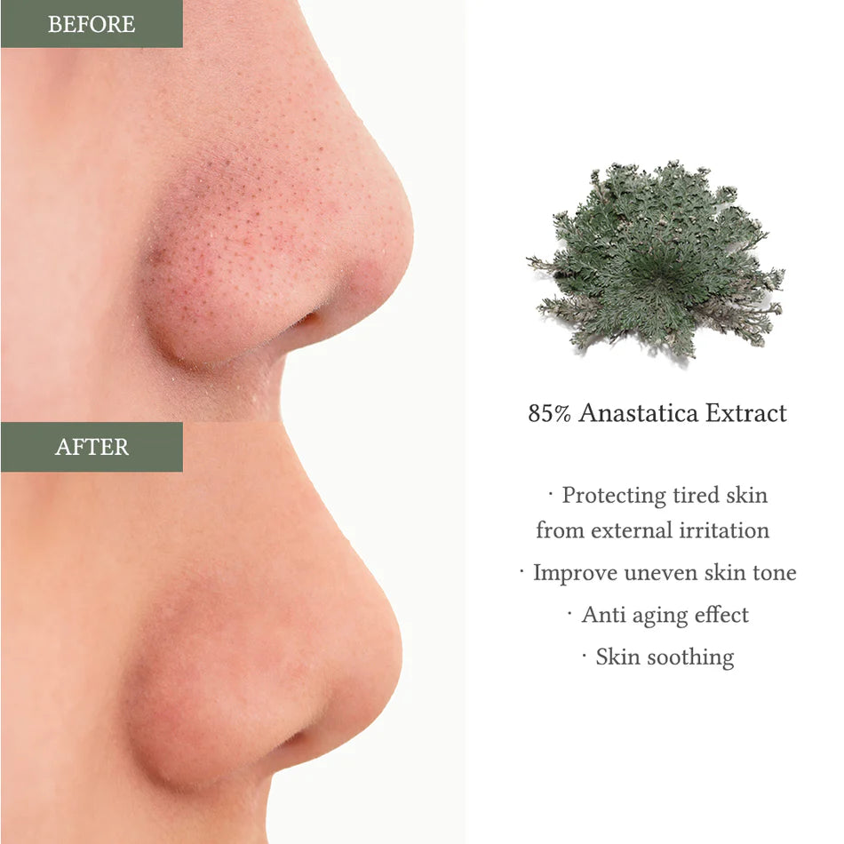 DR.ALTHEA Anastatica Skin Conditionning Pad-65 pads