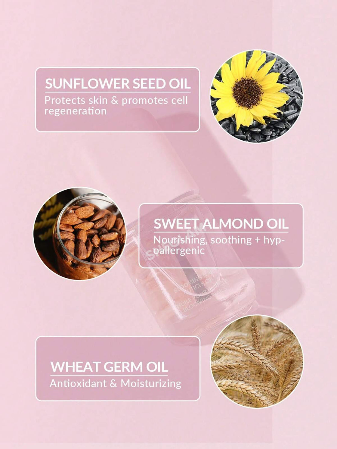 Sheglam Blooming Nails Cuticle Oil - Rose 8ml