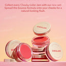 sheglam Cheeky Color Jam