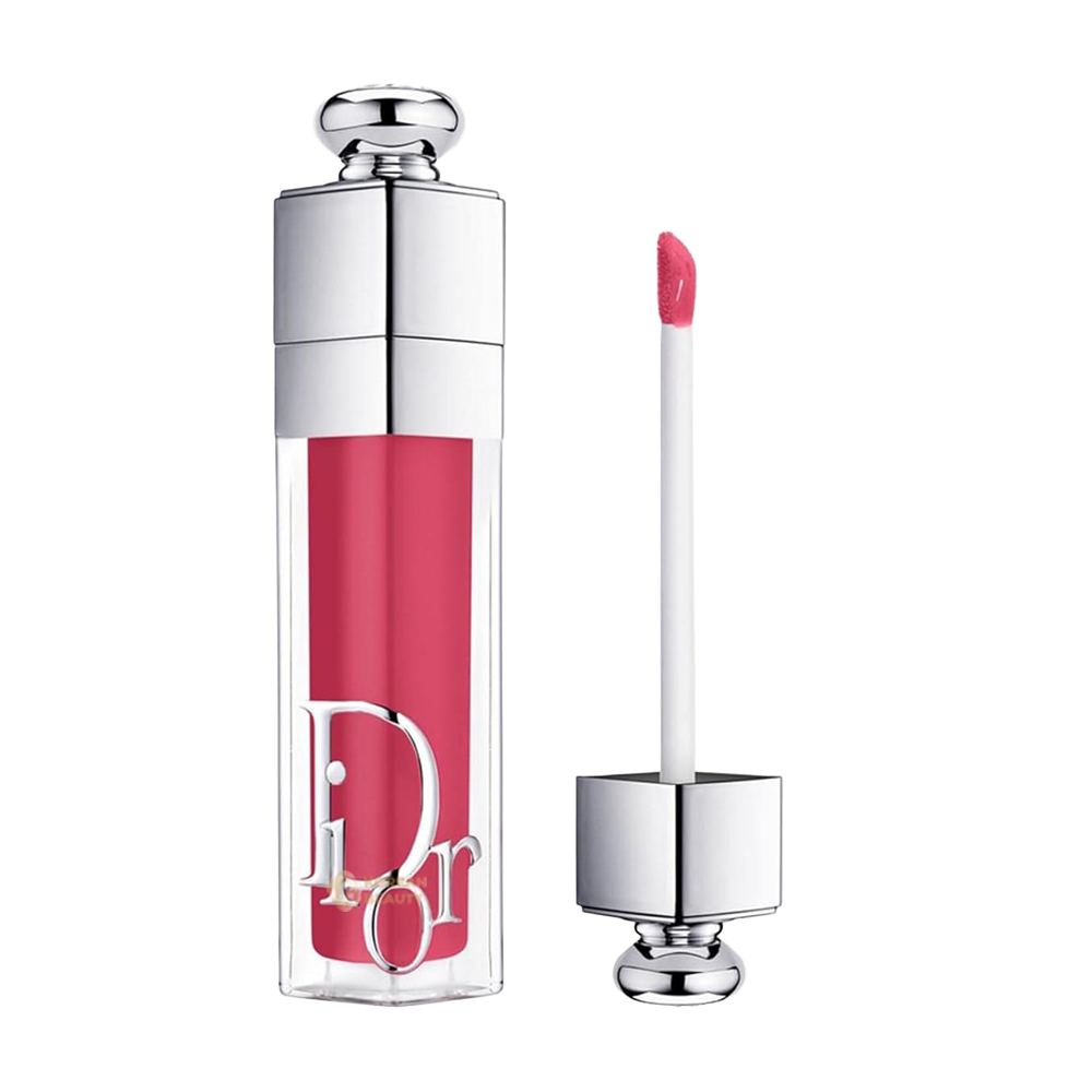 Dior Addict Lip Maximizer 029 Intense Grape