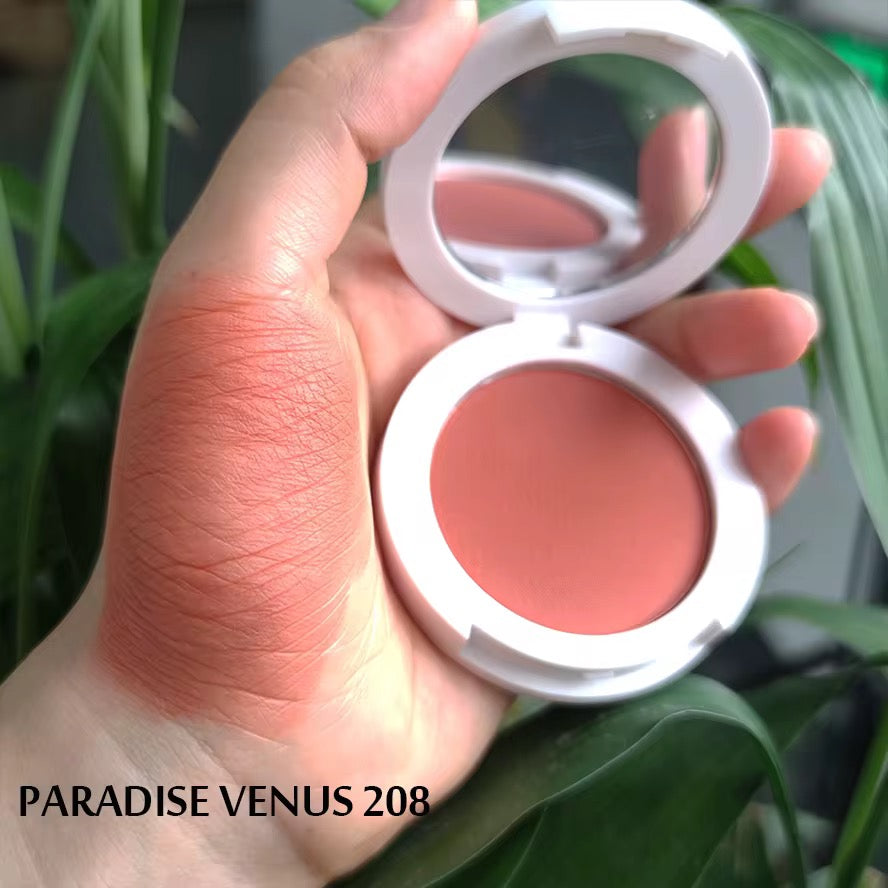 Ibeauty Blush Powder 4.5g