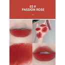 GEGE BEAR Moist Lip Glaze 2.5g