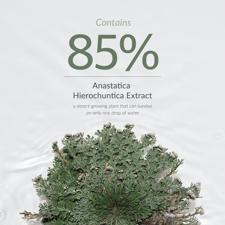 DR.ALTHEA Anastatica Skin Conditioning Toner 250ml