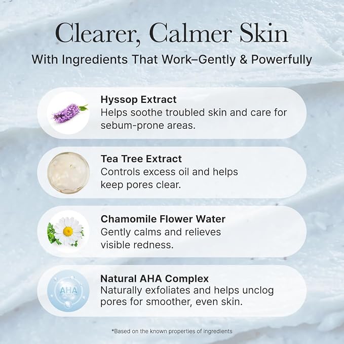 Arencia Hyssop Sebum Control Rice Cake Cleanser 150g