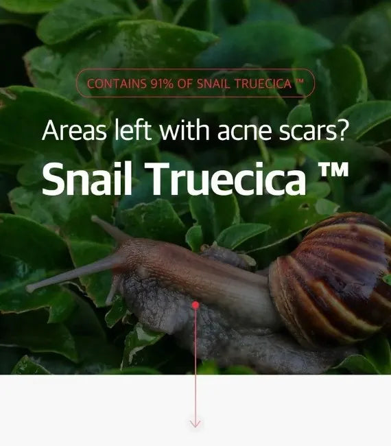 SOME BY MI Snail Truecica Miracle Repair Toner 150 ml
