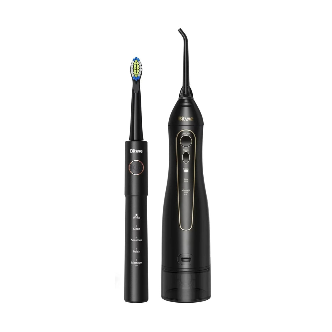 Bitvae Electric Toothbrush and Oral Irrigator E11 + F5020E, Black