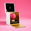Aurora Scents Cherry In The Woods 100ml