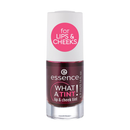 Essence What a Tint Lip and Cheek Tint 01-4.9ml